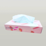 Dandy Facial Tissue Box