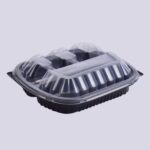 Big Meal Plate - 4 Compartments - Colored
